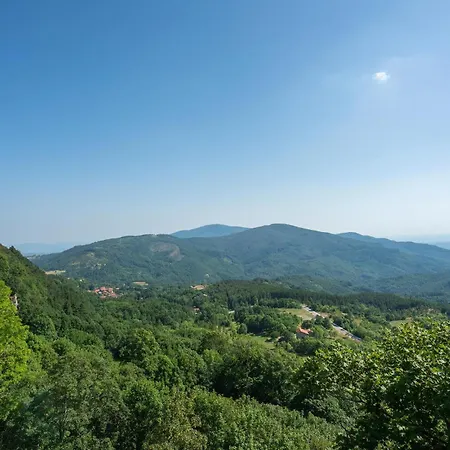 L'abete-gemme Del Casentino Apartmán Castel Focognano