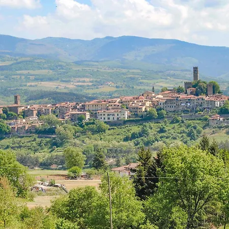 L'abete-gemme Del Casentino